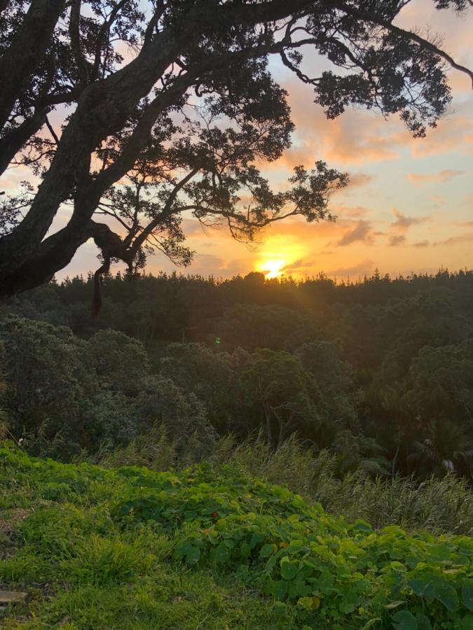Muriwai Lodge Eksteriør bilde