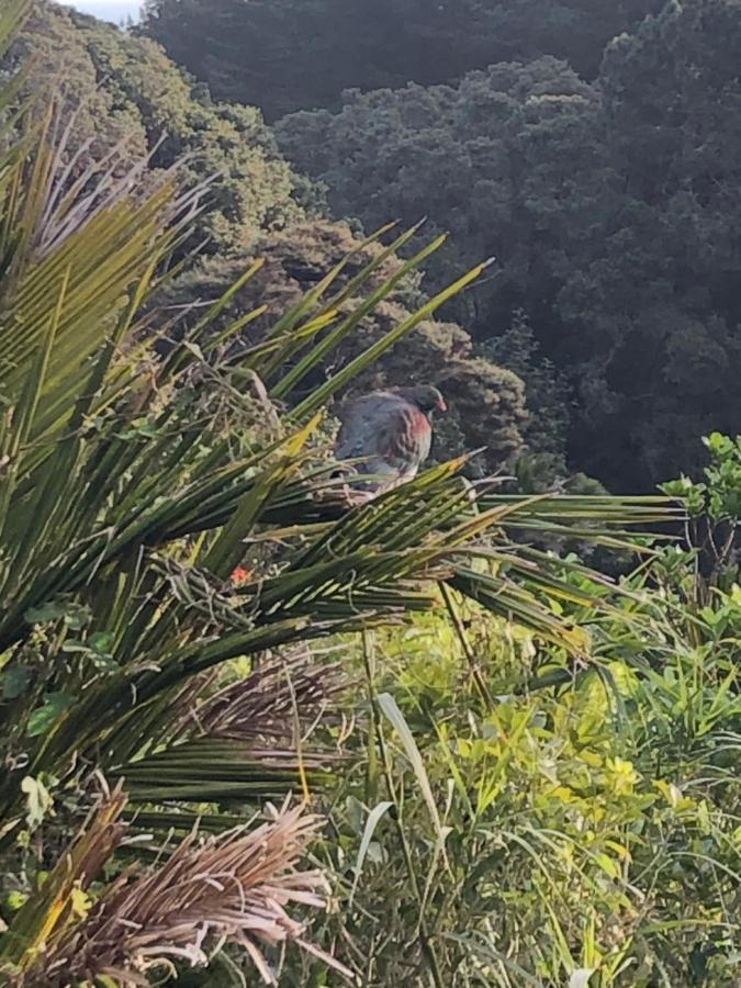 Muriwai Lodge Eksteriør bilde